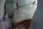 Vereinsausflug Bild 3